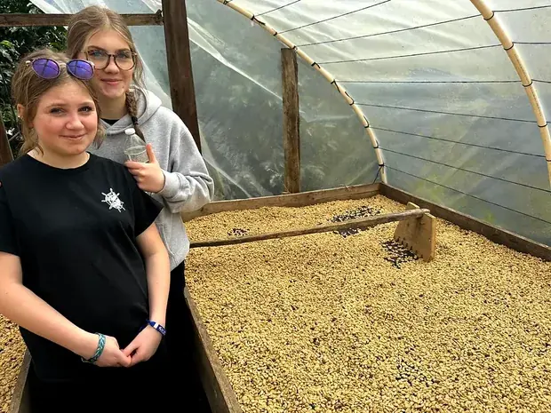 Two young visitors beside a bed of drying parchment under a polytunnel